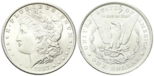 USA - Federazione. - Dollaro 1887, zecca di Philadelphia